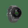 Accessories Trek Bike Computers | Garmin Forerunner 255 Smartwatch